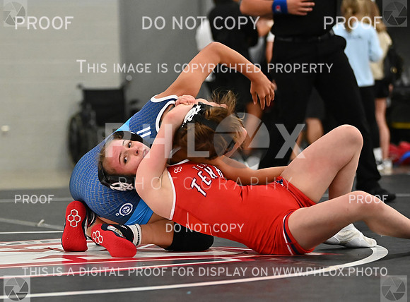 DLS_8918