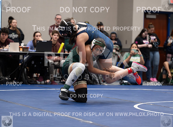 DLS_8049