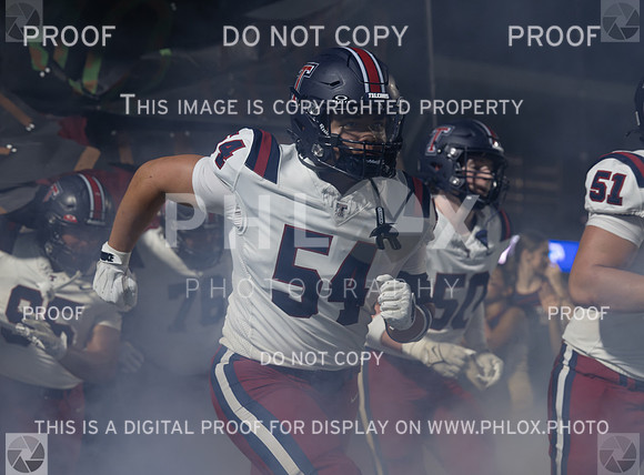 DLS_6365