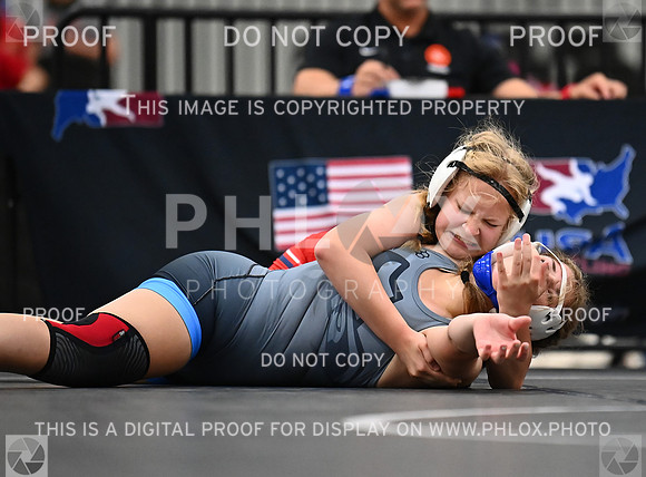 DLS_7449