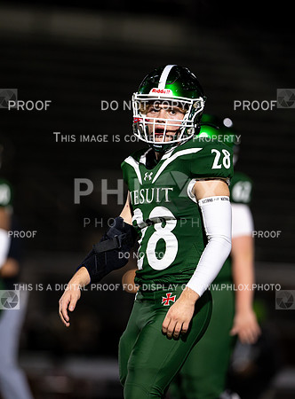 DLS_8745