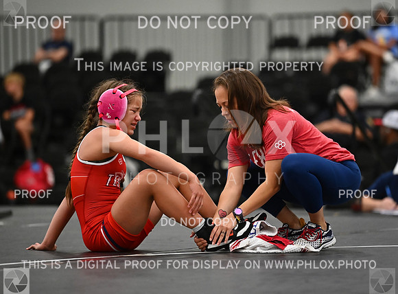 DLS_6567