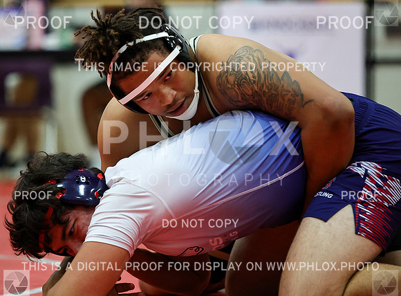 DDN_8136