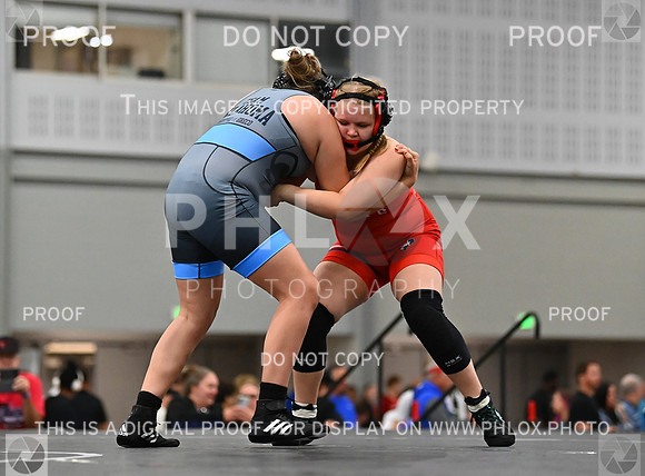 DLS_7464