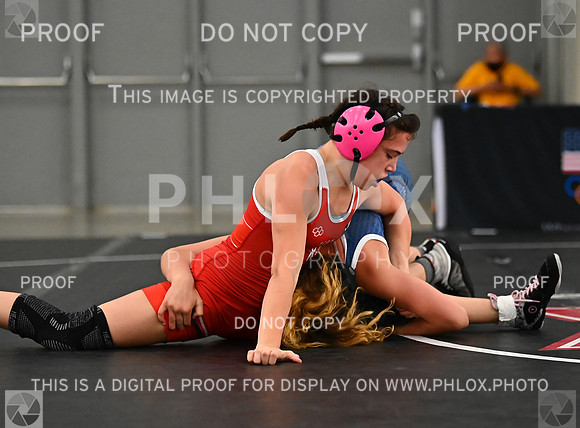 DLS_8984