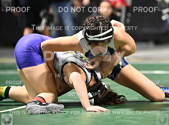 DLS_6451