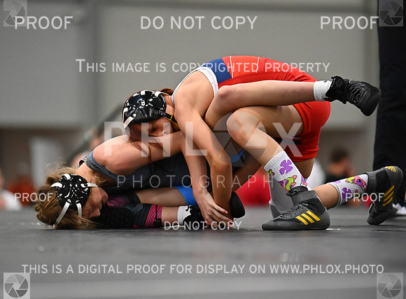 DLS_7511