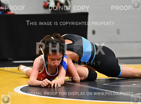 DLS_7740