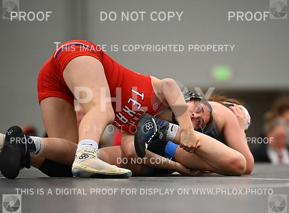 DLS_7375