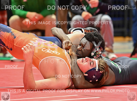 DLS_0007