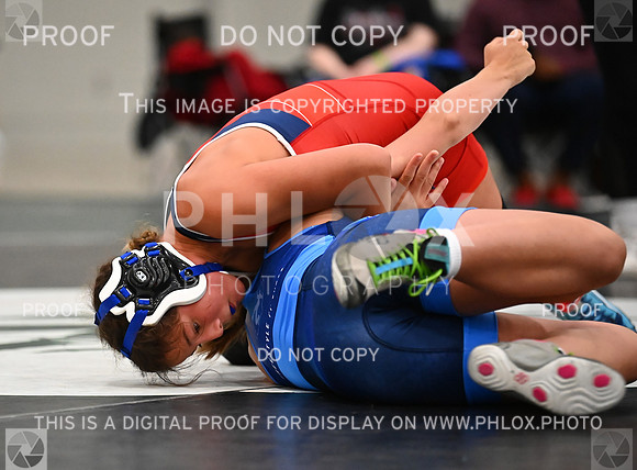 DLS_8809