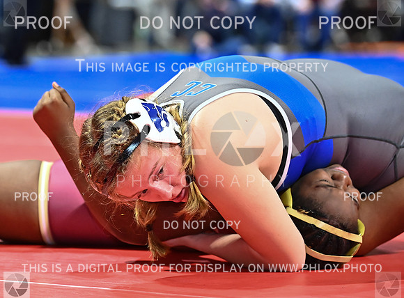 DLS_9797
