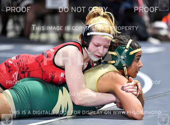FDS_5343