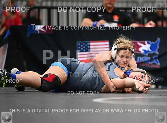 DLS_7447