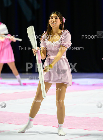 PSZ_201647-2