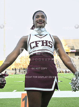DLS_3537