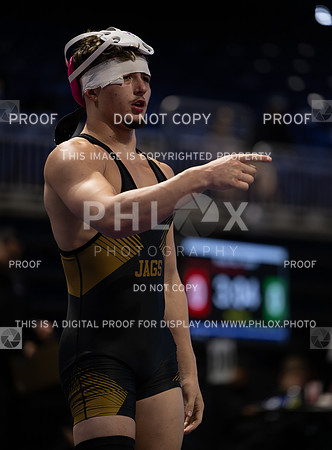 DLS_9573