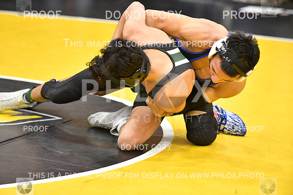 RAY_0026