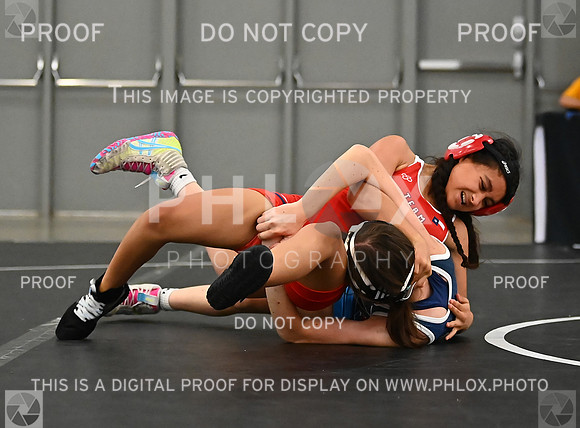 DLS_8955