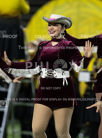 DLS_5177