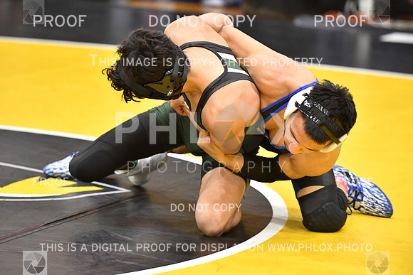 RAY_0025