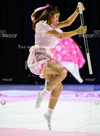 PSZ_201646-2