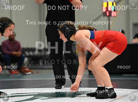 DLS_8733