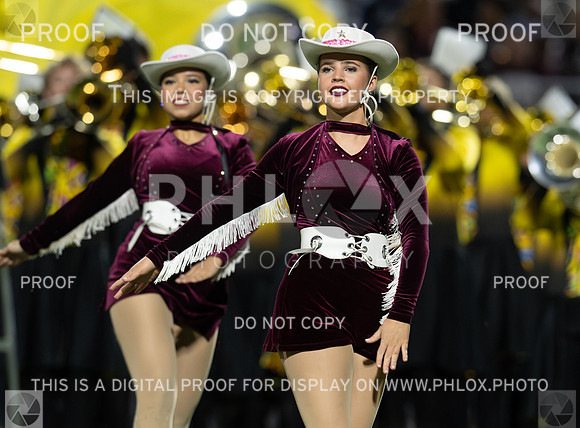 DLS_5175