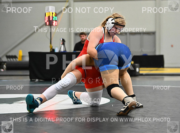 DLS_8749