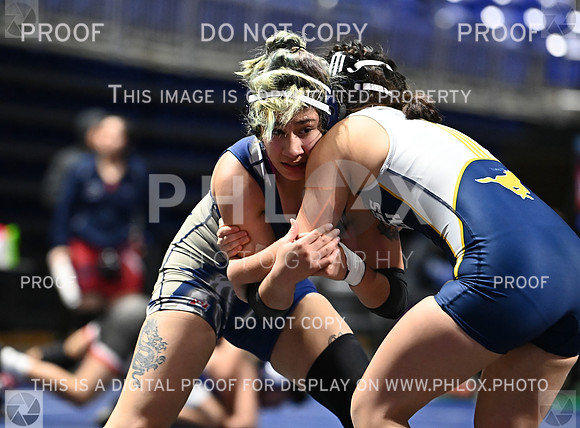 DLS_6118