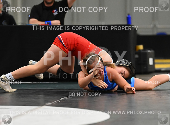 DLS_8640