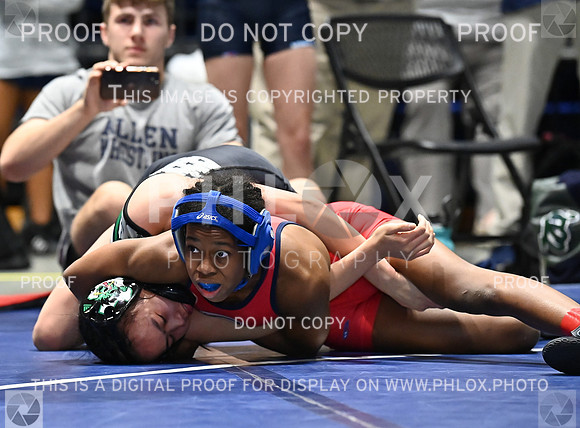 DLS_0205