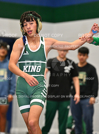 DLS_8429