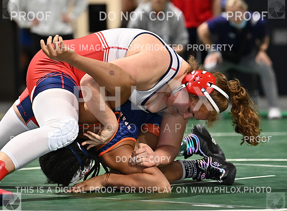 DLS_0202
