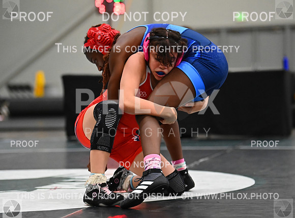 DLS_8518