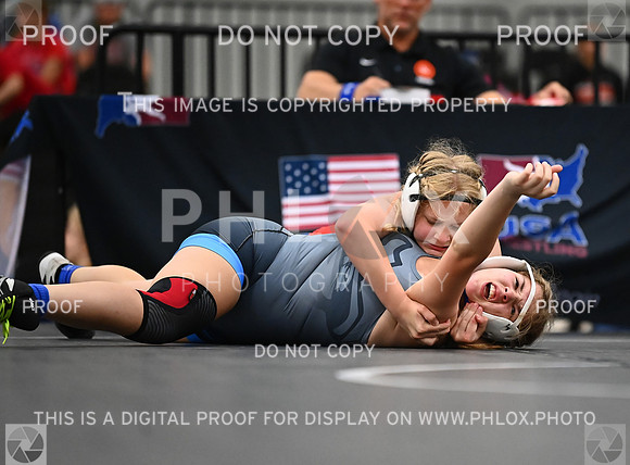 DLS_7445