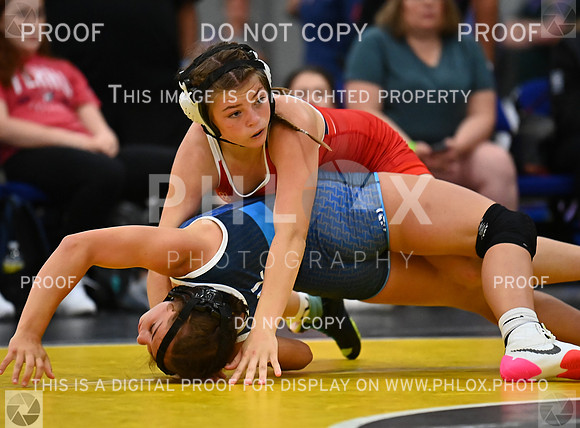 DLS_7038
