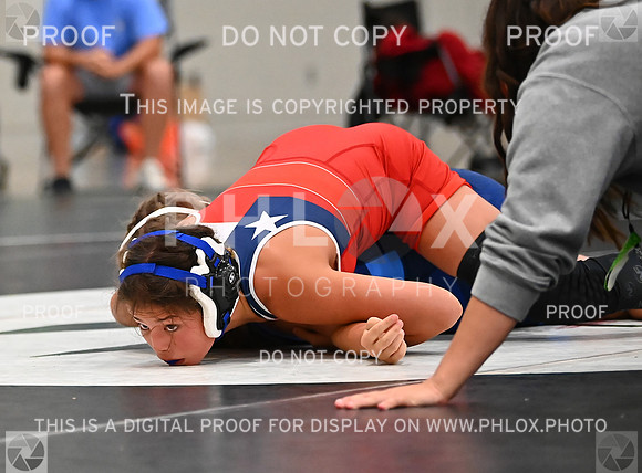 DLS_8814