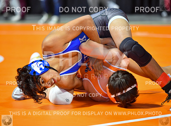 FDS_5565