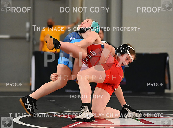 DLS_8841
