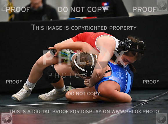 DLS_8648