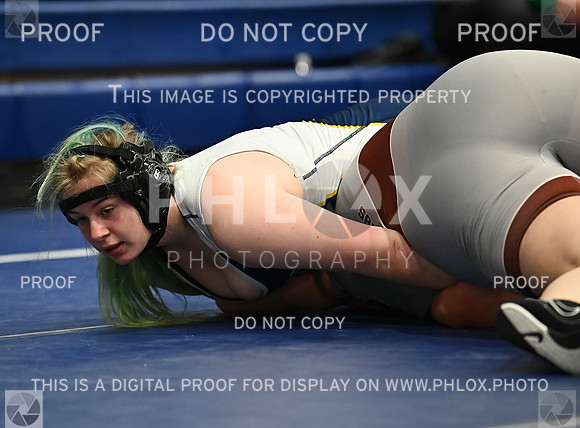 DLS_5135