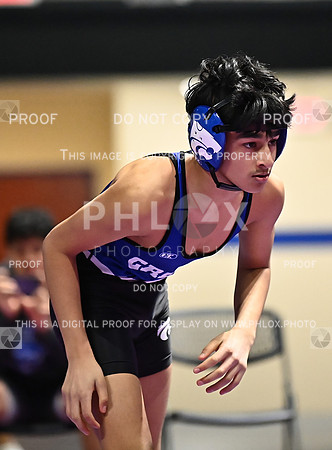 DLS_6551