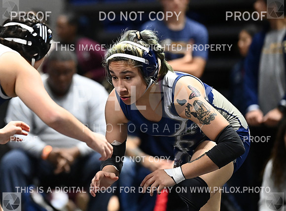 DLS_6095