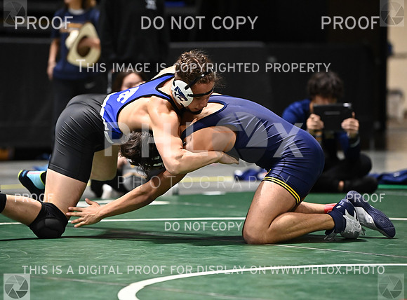 DLS_6188