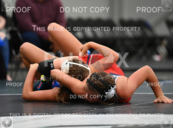 DLS_8719