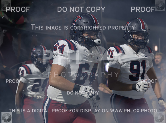 DLS_6370