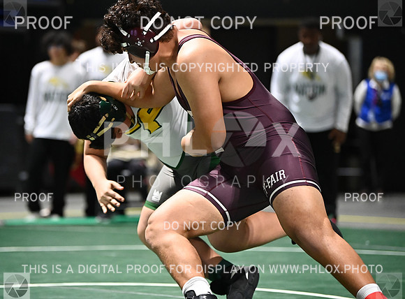DLS_6346