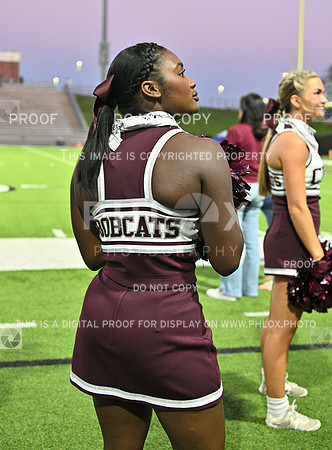DLS_3903