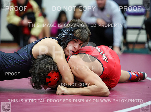 DDN_8198